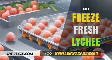 Preserving Sweetness: A Guide to Freezing Fresh Lychees
