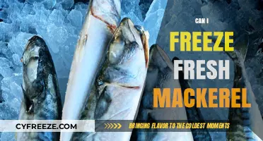 Fresh Mackerel Freezing Guide: Preserve the Ocean's Bounty