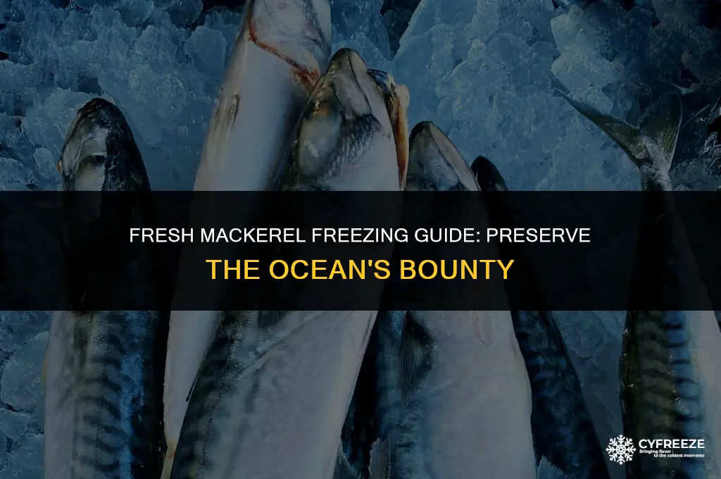 can i freeze fresh mackerel