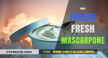 From Fresh to Frozen: The Ultimate Guide to Freezing Mascarpone