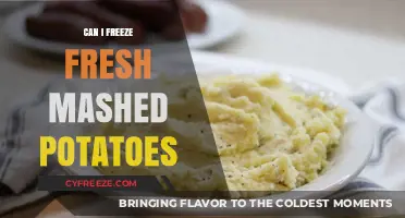 From Kitchen to Freezer: The Ultimate Guide to Freezing Fresh Mashed Potatoes