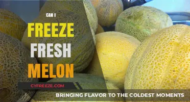 Fresh Melon Freezing Guide: Preserve Your Summer Bounty