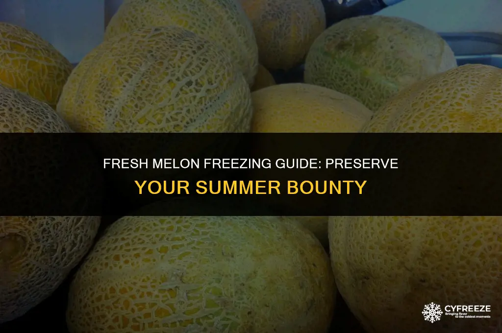 can i freeze fresh melon