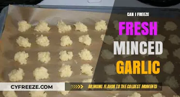 Fresh Minced Garlic: Freezing Tips for Long-Lasting Flavor