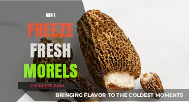 Preserving Nature's Bounty: A Guide to Freezing Fresh Morels