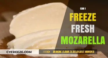 From Fresh to Frozen: The Ultimate Guide to Freezing Mozzarella