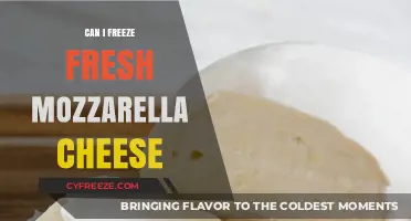 From Fresh to Frozen: A Guide to Freezing Mozzarella Cheese