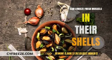 Fresh Mussels in Shells: A Guide to Freezing and Preserving