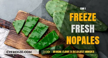 Preserving Nature's Bounty: A Guide to Freezing Fresh Nopales