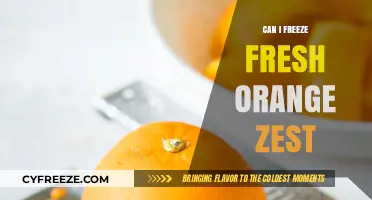 Zesty Preservation: Can You Freeze Fresh Orange Zest?