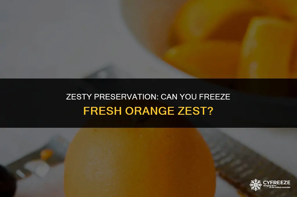 can i freeze fresh orange zest