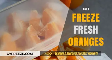 Preserve the Sunshine: A Guide to Freezing Fresh Oranges
