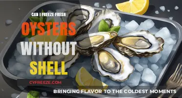 Fresh Oysters Unshucked: A Guide to Freezing Without the Shell