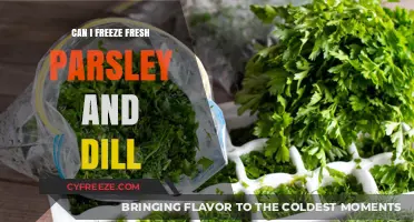 Herb Preservation: Freezing Fresh Parsley and Dill for Longevity