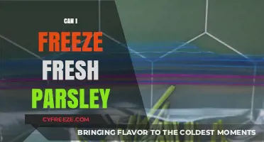 Preserve Freshness: The Ultimate Guide to Freezing Parsley