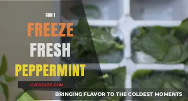 Preserving Freshness: Can You Freeze Peppermint for Later Use?