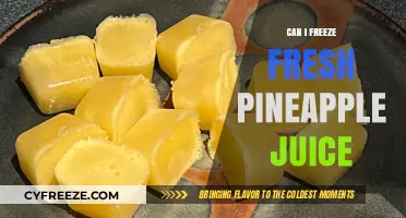Pineapple Perfection: Freezing Fresh Juice for a Tropical Treat Anytime