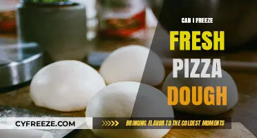 From Fresh to Frozen: A Guide to Freezing Pizza Dough