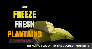 From Fresh to Frozen: A Guide to Freezing Plantains