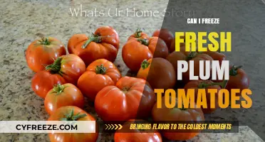 Preserving Perfection: A Guide to Freezing Fresh Plum Tomatoes