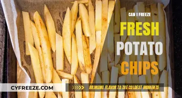 Crispy Preservation: The Ultimate Guide to Freezing Fresh Potato Chips