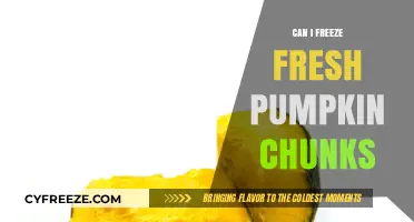 Preserve the Harvest: A Guide to Freezing Fresh Pumpkin Chunks