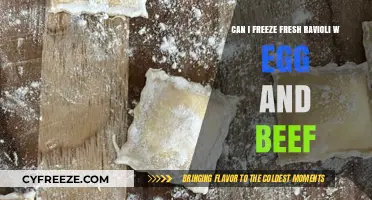From Fresh to Frozen: A Guide to Freezing Homemade Egg and Beef Ravioli