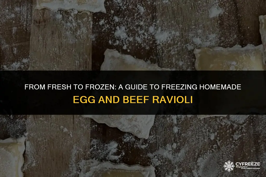 can i freeze fresh ravioli w egg and beef