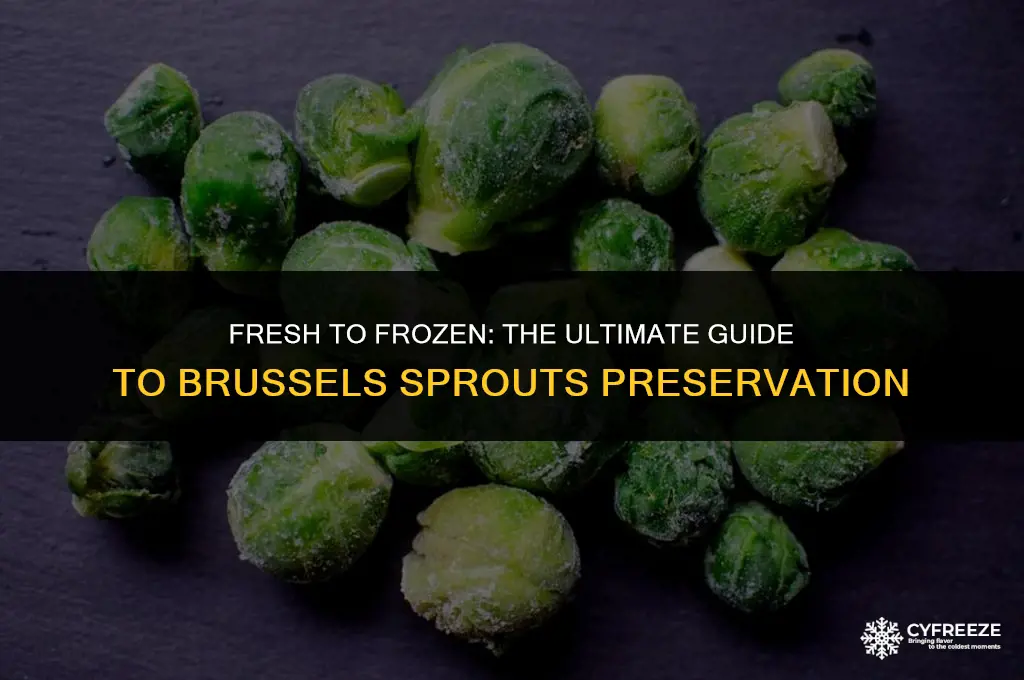 can i freeze fresh raw brussels