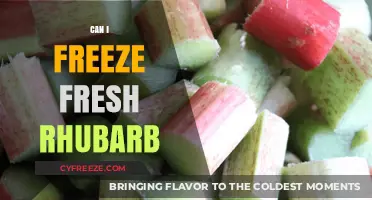 From Garden to Freezer: The Ultimate Guide to Preserving Fresh Rhubarb