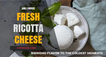 From Fresh to Frozen: A Guide to Freezing Ricotta Cheese