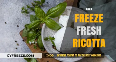 From Fresh to Frozen: A Guide to Freezing Ricotta Cheese