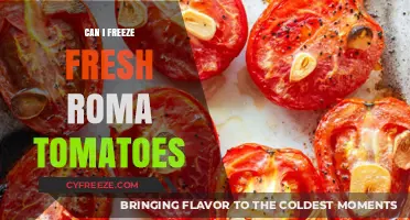 From Garden to Freezer: The Easy Guide to Preserving Fresh Roma Tomatoes