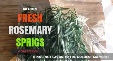 Preserve Fresh Rosemary Sprigs: A Simple Freezing Guide