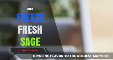 Preserve Fresh Sage: A Guide to Freezing Herbs for Longevity