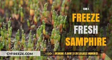 Preserving Coastal Delights: Can You Freeze Fresh Samphire?