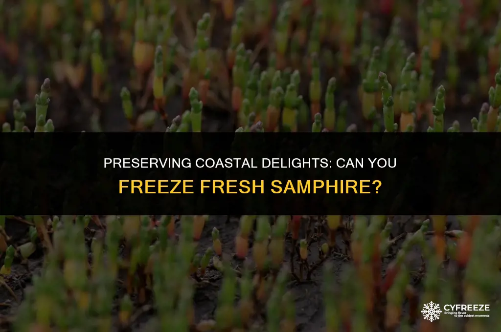 can i freeze fresh samphire