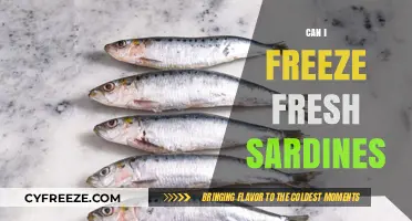 Fresh Sardines: The Ultimate Guide to Freezing and Preserving