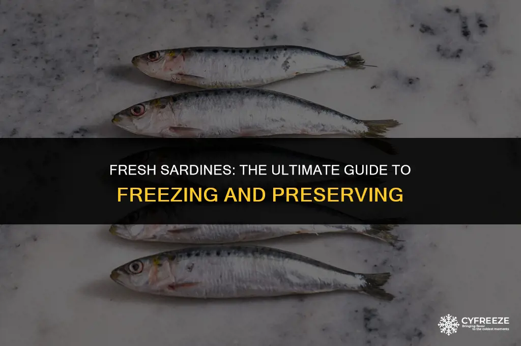 can i freeze fresh sardines