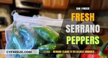 Preserve the Heat: A Guide to Freezing Fresh Serrano Peppers