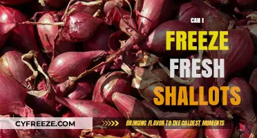 Preserve the Flavor: Freezing Fresh Shallots for Long-Term Use
