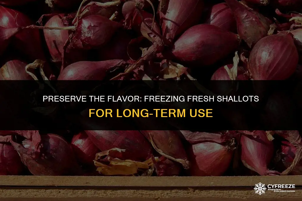can i freeze fresh shallots