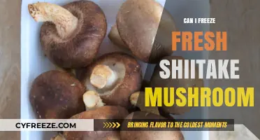 Preserving Flavor: The Ultimate Guide to Freezing Fresh Shiitake Mushrooms