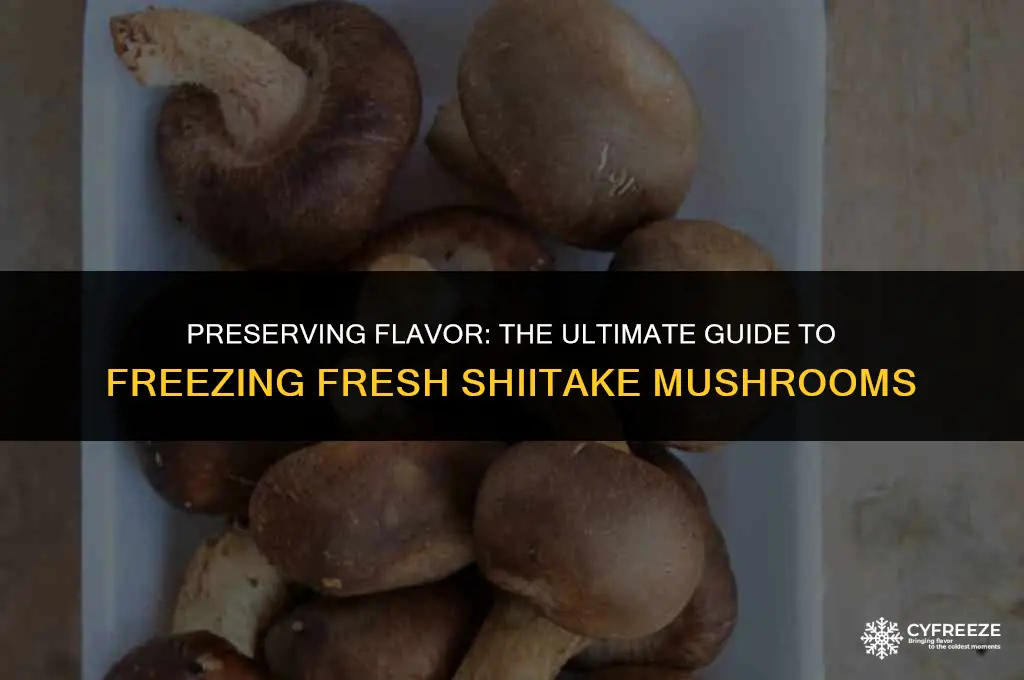 can i freeze fresh shiitake mushrooms