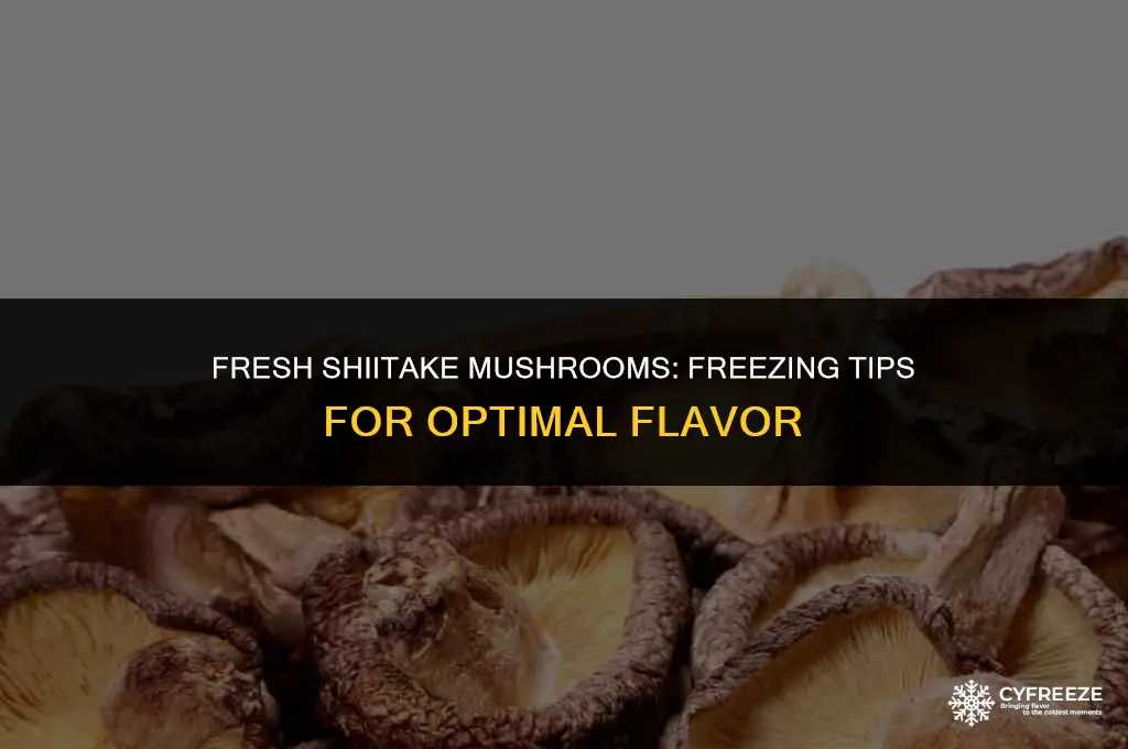 can i freeze fresh shitake