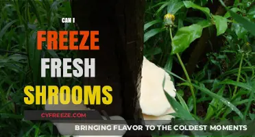 Preserving Nature's Bounty: A Guide to Freezing Fresh Shrooms