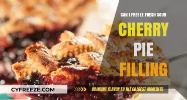Preserving Summer's Sweetness: Freezing Fresh Sour Cherry Pie Filling