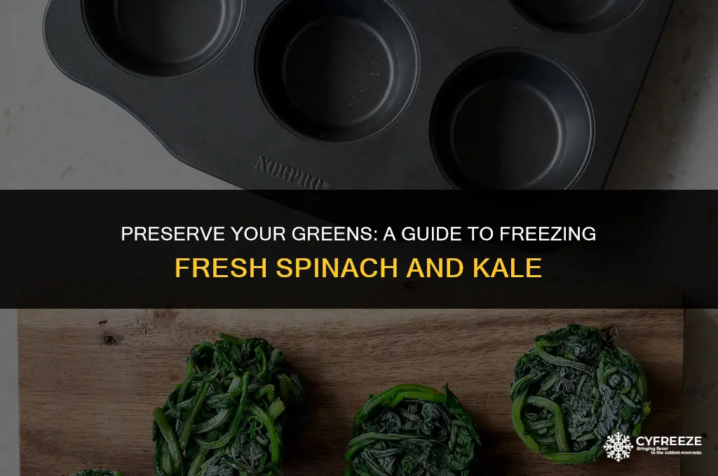 can i freeze fresh spinach and kale