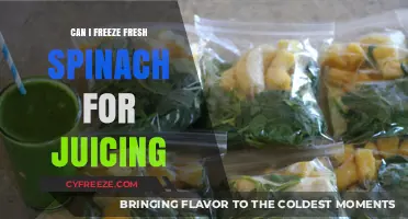Preserve Your Greens: A Guide to Freezing Fresh Spinach for Juicing