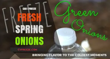 Preserve the Flavor: Freezing Fresh Spring Onions Made Easy